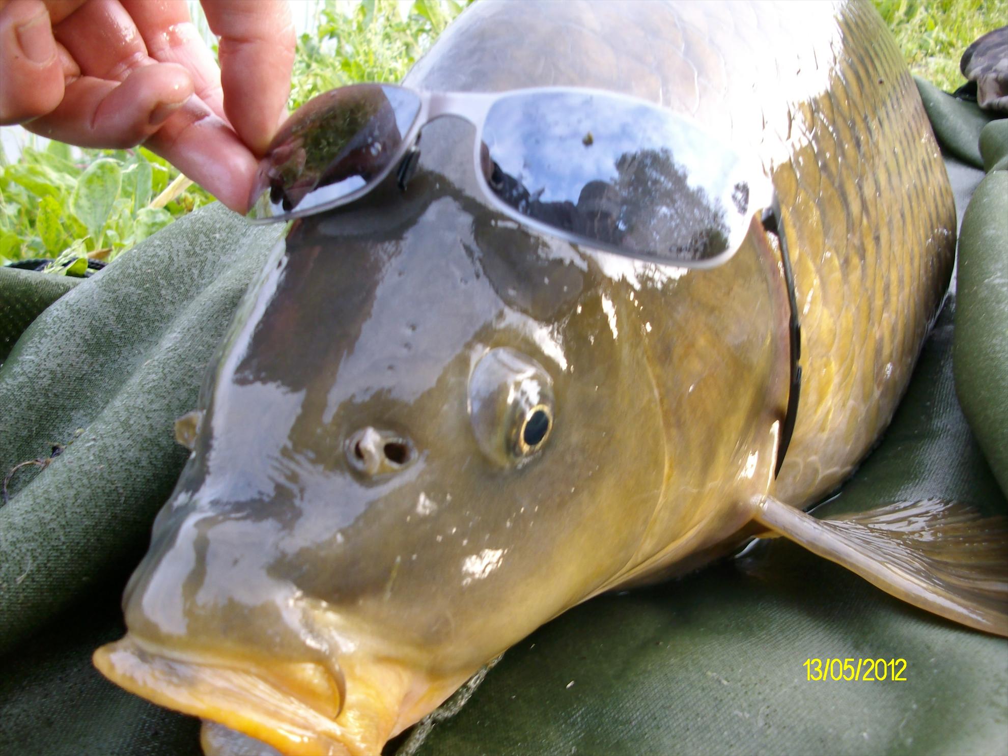 florian tanasa - alim0593.JPG